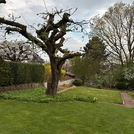 An Der Warte Waldeck